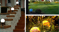 Night Orbs Photo Gallery Night Orbs Photo Gallery